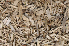 biomass boilers Skinnet