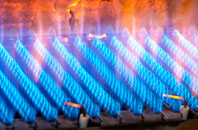 Skinnet gas fired boilers
