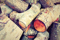 Skinnet wood burning boiler costs